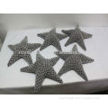 starfish plush toy